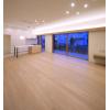 Den_03_low_original