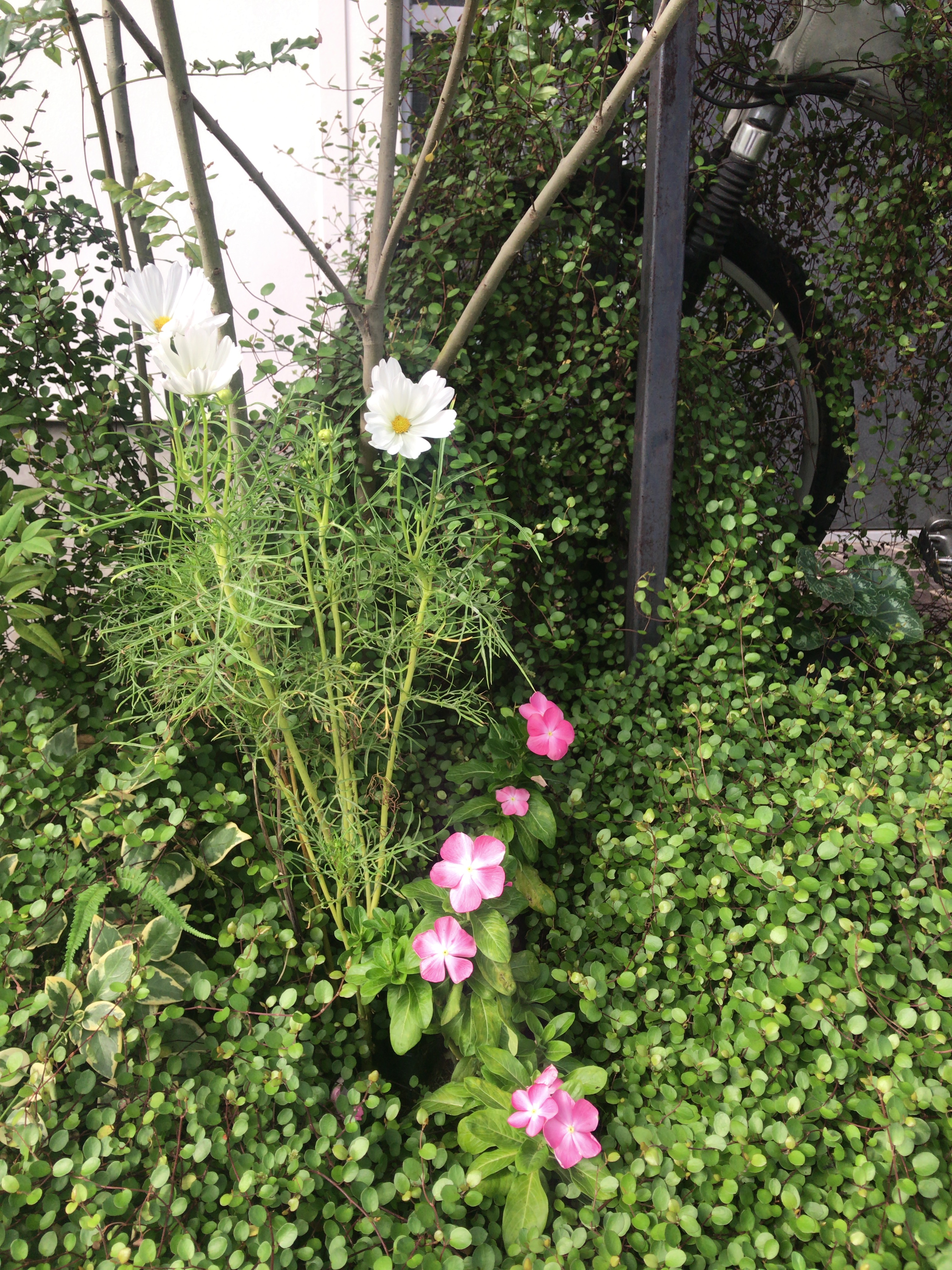 A671DFDD_51E9_4174_8489_A04713F5DE74